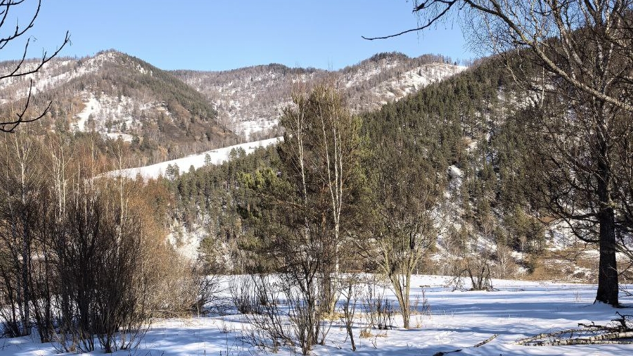 Поход в МФЦ. Зачем мне это надо?