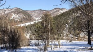 Поход в МФЦ. Зачем мне это надо?