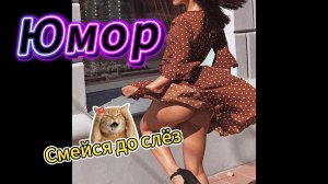 Сборник юмора. Смейся до слёз. Подборка очень смешного видео № 3