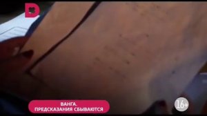 Домашний во время профилактики-2 (19.04.17)