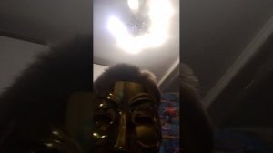 отвечаю на ваши вопросы