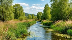 Релакс. Лето.Река,Небо.