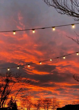 хочу поговорить (нечего делать сегодня без Алисы ана здохла)