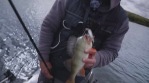 «МИР РЫБОЛОВА» Судак. Кама. 2 часть.