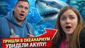 Приехали на площадь ВДНХ/второй раз сходили в москвариум и не пожалели.