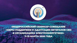 Путь к мирной жизни, или меры поддержки и адаптации ветеранов СВО в организациях электроэнергетики
