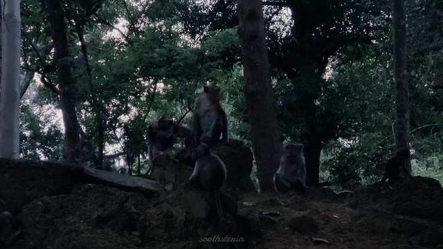 Spirit of the Myst – Dark Ambient Music for Deep Calm & Inner Reflection