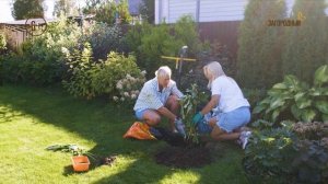 Огородные заботы. Анонс. Канал Загородный