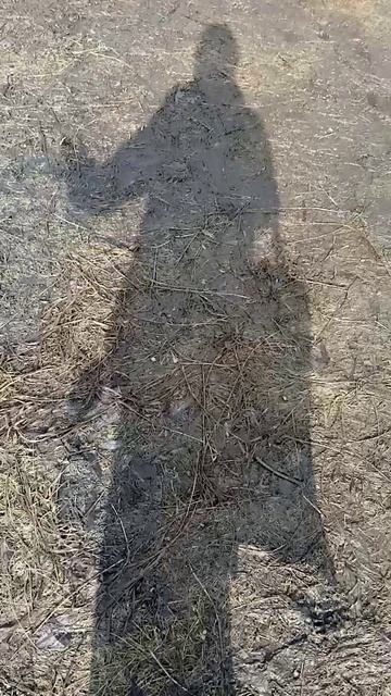 видосик из жизни