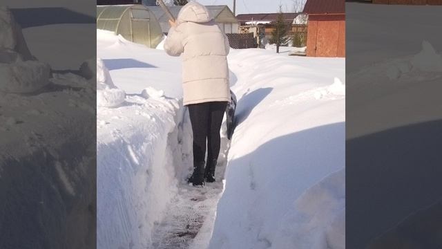 дачный сезон начался