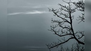 Туман - Владимир Мещеряков(сл.П.Орынянская)