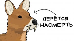 Ты — Водяной Олень (И ЭТО ВСЯ ТВОЯ ЖИЗНЬ)