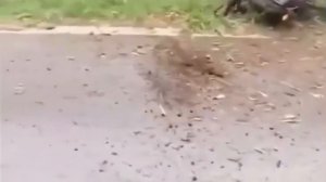 Видео от HackAvto – Лайфхаки и фишки для авто