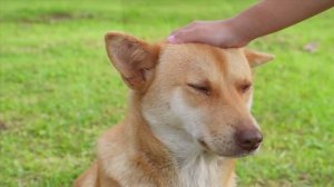 Пока ещё есть время