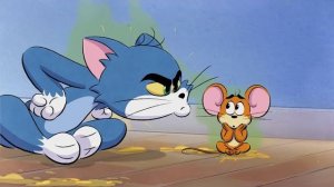 ТОМ И Джерри в двойной погоне за НОВЫМ ШОУ. Сборник мультика Том и джерри приключения