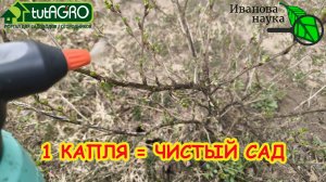 Этот порошок творит чудеса: болезни исчезнут на глазах! Мощный очиститель для деревьев и кустов.