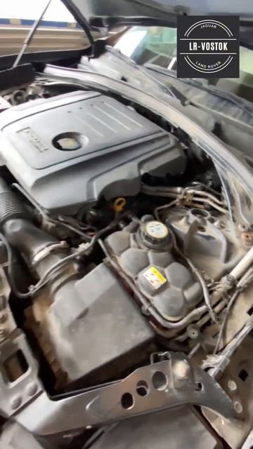 Jaguar F-Pace Мойка подкапотного пространства