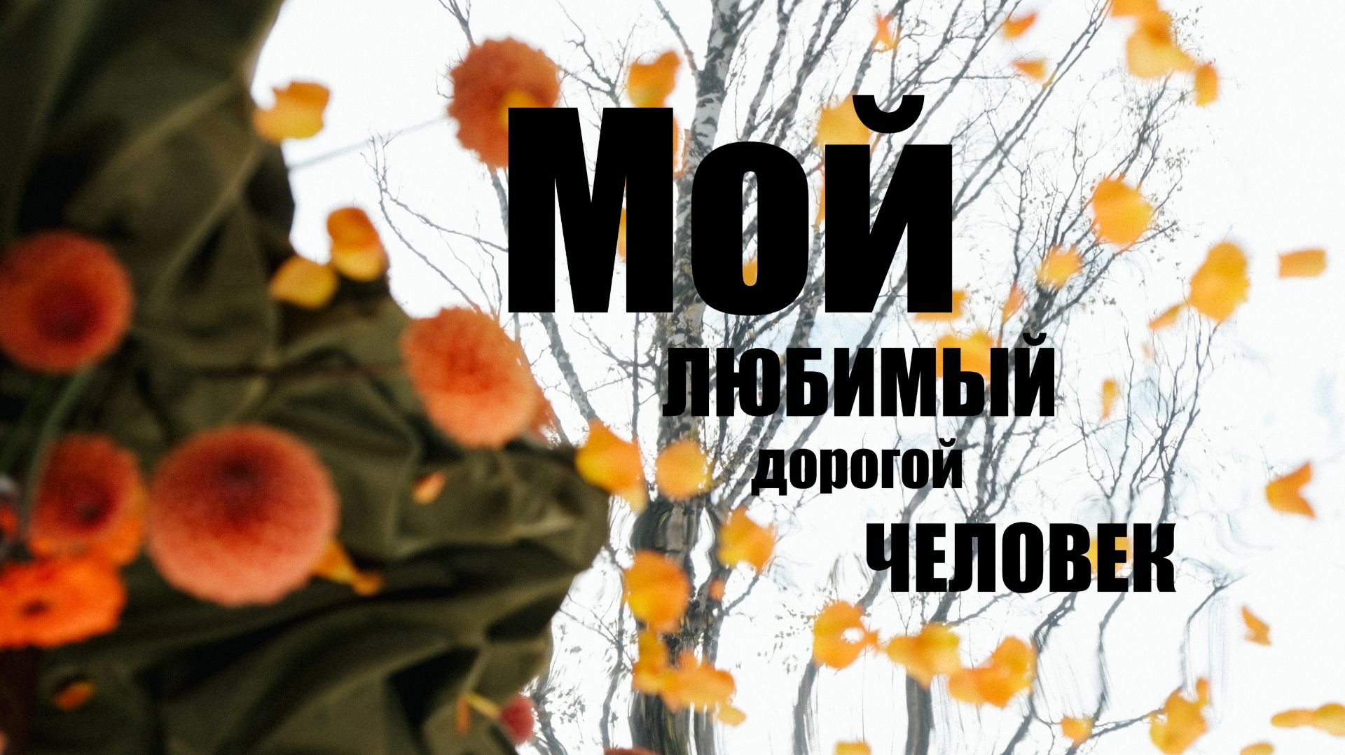 Мой Любимый Дорогой Человек