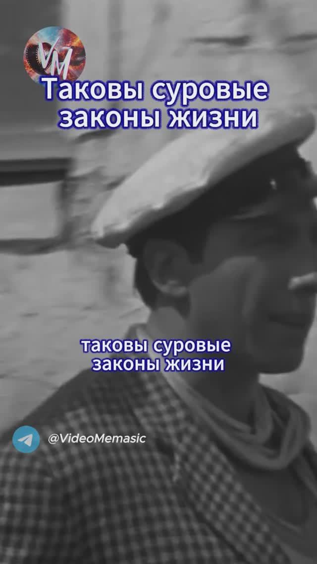 Таковы суровые законы жизни