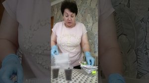 Посеяла 🌺 георгины🌱