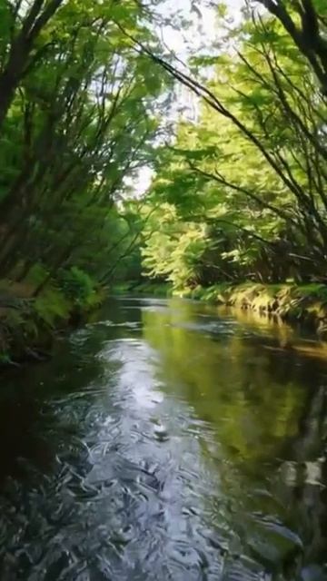 Память о потерях: тишина на кладбище #потери #печаль #память