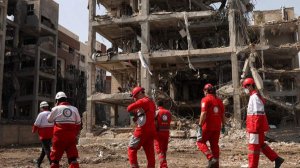 Песков сообщил о негативном развитии событий на Ближнем Востоке