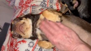 Всем самого доброго вечера и спокойной ночи.