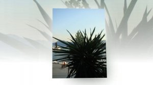 Джеральд Даррелл. " Моя семья и другие звери" Начало