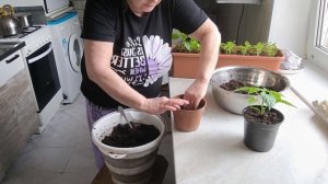 Пересаживать, сеять надо, Петя меняет колёса.