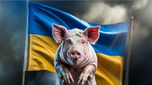 🔴Хохлы штурмуют очередной «Сэконд-хенд». Окраїна це Європа.🙂🔴