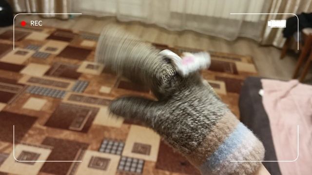 куки в 2023 г. и в 2026 г.