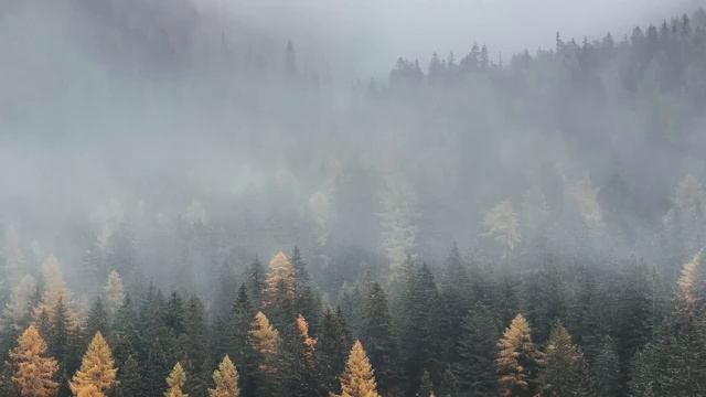 Chill House | Весенние флюиды - Расслабляющий Чилл-хаус 🛣️