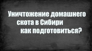Уничтожение домашнего скота в Сибири как подготовиться?