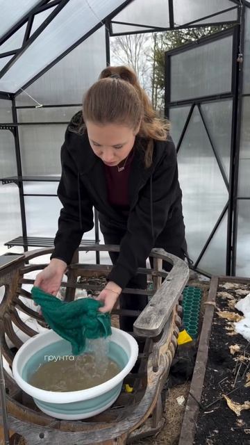 Подготовка теплицы к посадке и защита от болезней