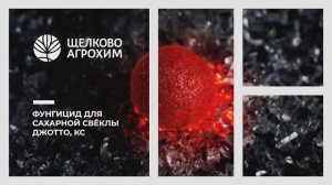 Джотто, КС - новый фунгицид для сахарной свёклы