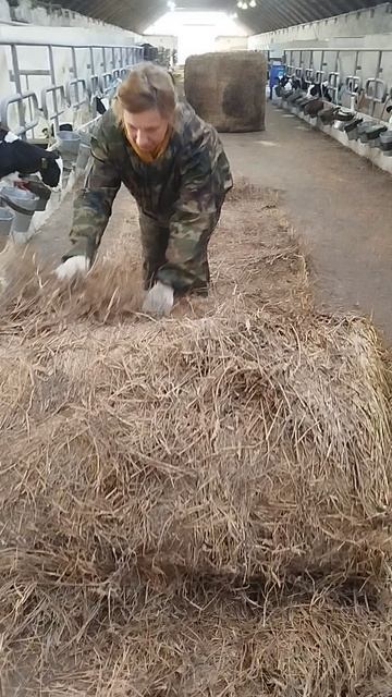 Работа в радость/Уход за животными