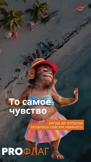 Когда сотрудники уже на пляже 🐒🌊 а бренд всё ещё в офисе Или всё-таки полетит вместе с ними? ✈️