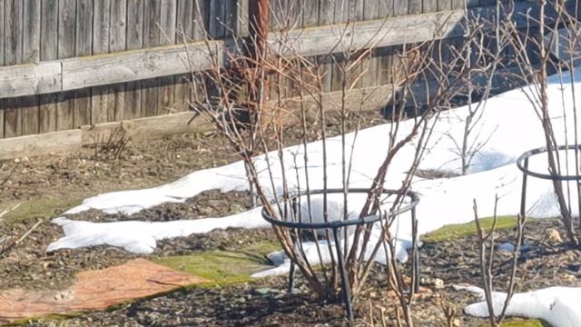 Погода класс! Готовим...