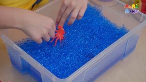 Кто Обитает На Дне Океана?! Изучаем Вместе с ребенком! Урок 5