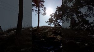 Весна в горах — это особое волшебство: