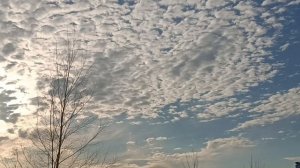 Вспомним   КАТЯ ОГОНЁК.. 
...... Лучший голос..