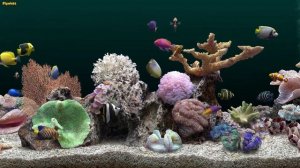 Уютный АКВАРИУМ в 4K UHD качестве. Релакс. Отдых. Ver 2