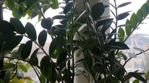 Поэма о Хатыни