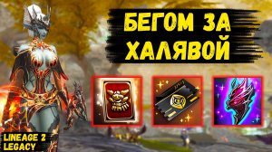 БЕГОМ ЗА ХАЛЯВОЙ! Все ПОДАРКИ В ЧЕСТЬ ПАТЧА в Lineage 2 Legacy.