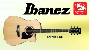 Электроакустика IBANEZ PF15ECE