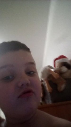 демид кобочок тм