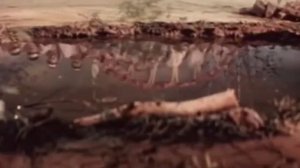 А весна пришла такая нежная Марина Кухоцкая и Ансамбль Березка Автор видео Нина Рудакова