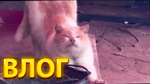 ПЛАВНЕНЬКО В ВЕСНУ!ВЛОГ!