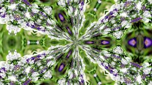 Видеофоны! Видеофон Подснежники 7! Футаж от Киностудии Мудрого Кота Тимофея!