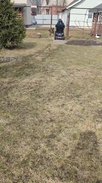 Весна с caterwil